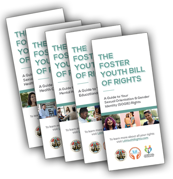 image of the foster youth bill of rights pamphlet